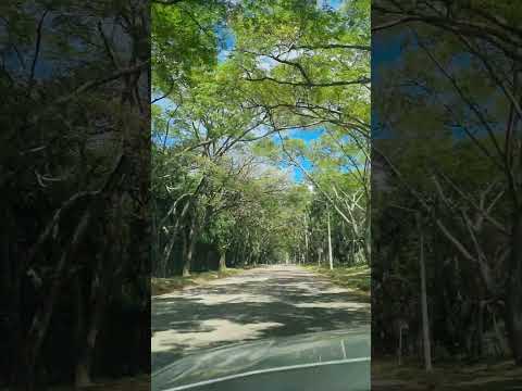 Entrando a Paicol Huila. #Paicol #Huila