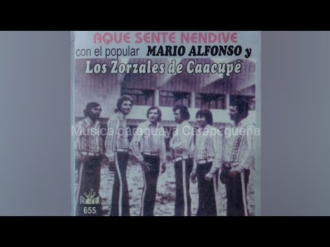 Mario Alfonso y Los Zorzales de Caacupe Grandes Éxitos