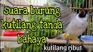 Download lagu suara burung.kutilang tanda bahaya mp3