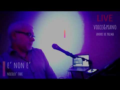 E'  NON E' / Nicolo' Fabi / Cover by ANDRE DE PALMA