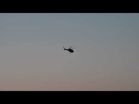 HELIKOPTER OG HUNDEPATRULJE I AKTION: 69-ÅRIG KVINDE FORSVUNDET NÆR STRAND