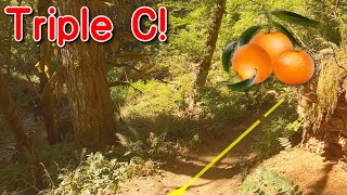 Quick run down Triple C!