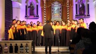 preview picture of video 'Coro UPB (Parte I) - XII Festival Int. Músia Sacra de Pamplona'