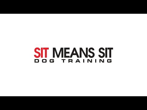 Sit Means Sit 