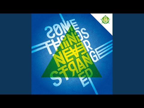 The Flute Tune (Maddslinky Remix)