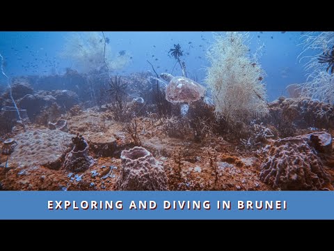 OUR DIVING JOURNEY STARTS HERE // OPEN WATER DIVER COURSE WITH OCEANIC QUEST