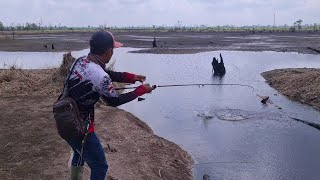 Download lagu UNEXPECTED..! THE SWAMP IS ALMOST DRY, BUT LOOK AT THE RESULT..?? || part 1 mp3