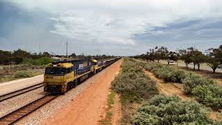 Trains in South Australia: 1YN2  Coonamia