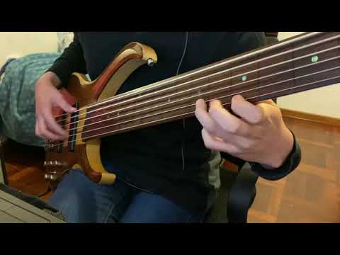 Beyond Creation - Earthborn Evolution (Bass Solo Cover)