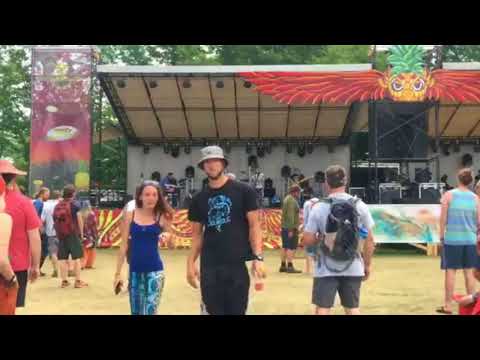 The New Motif Live at Disc Jam