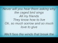 Amos Lee - All My Friends Lyrics