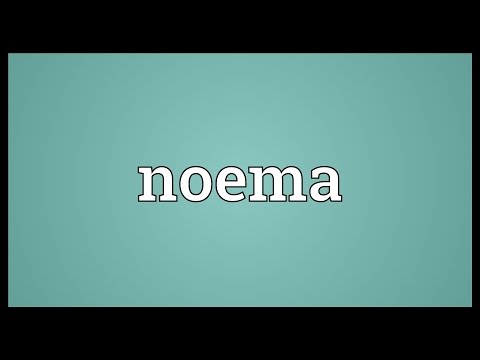 Noema Meaning
