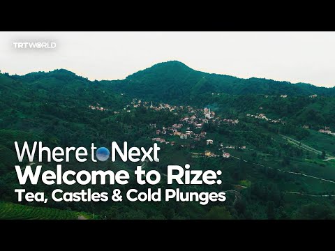 Where To Next: Tea, Castles & Cold Plunges — Welcome to Rize