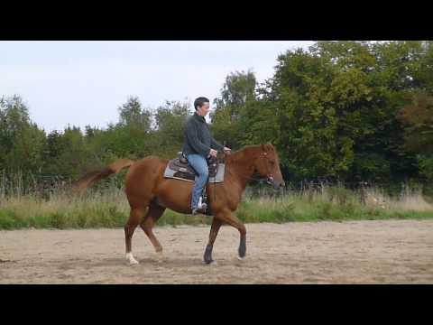 Stage Francesco Bassi 2013