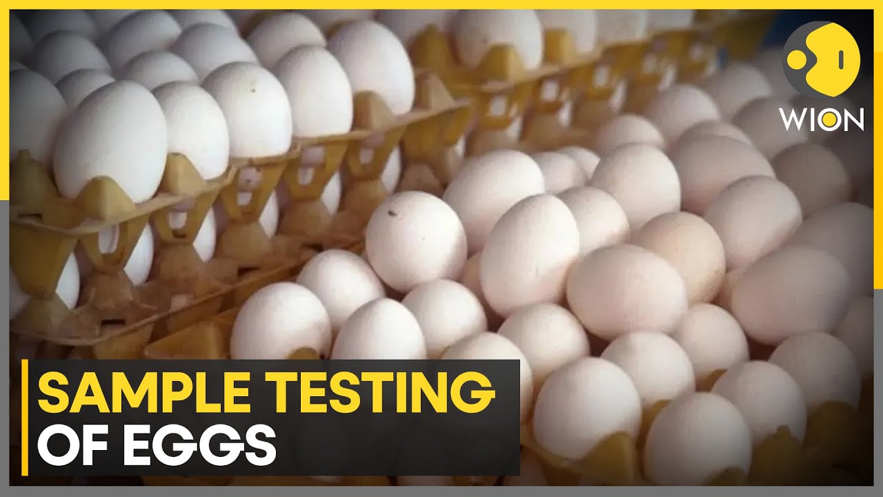 Viral Video Claims Eggs Contain Cancer-Linked Substance, Indian Regulators Orders Sample Testing