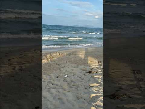 Coastal food in Vietnam | BBQ on THE COAST !