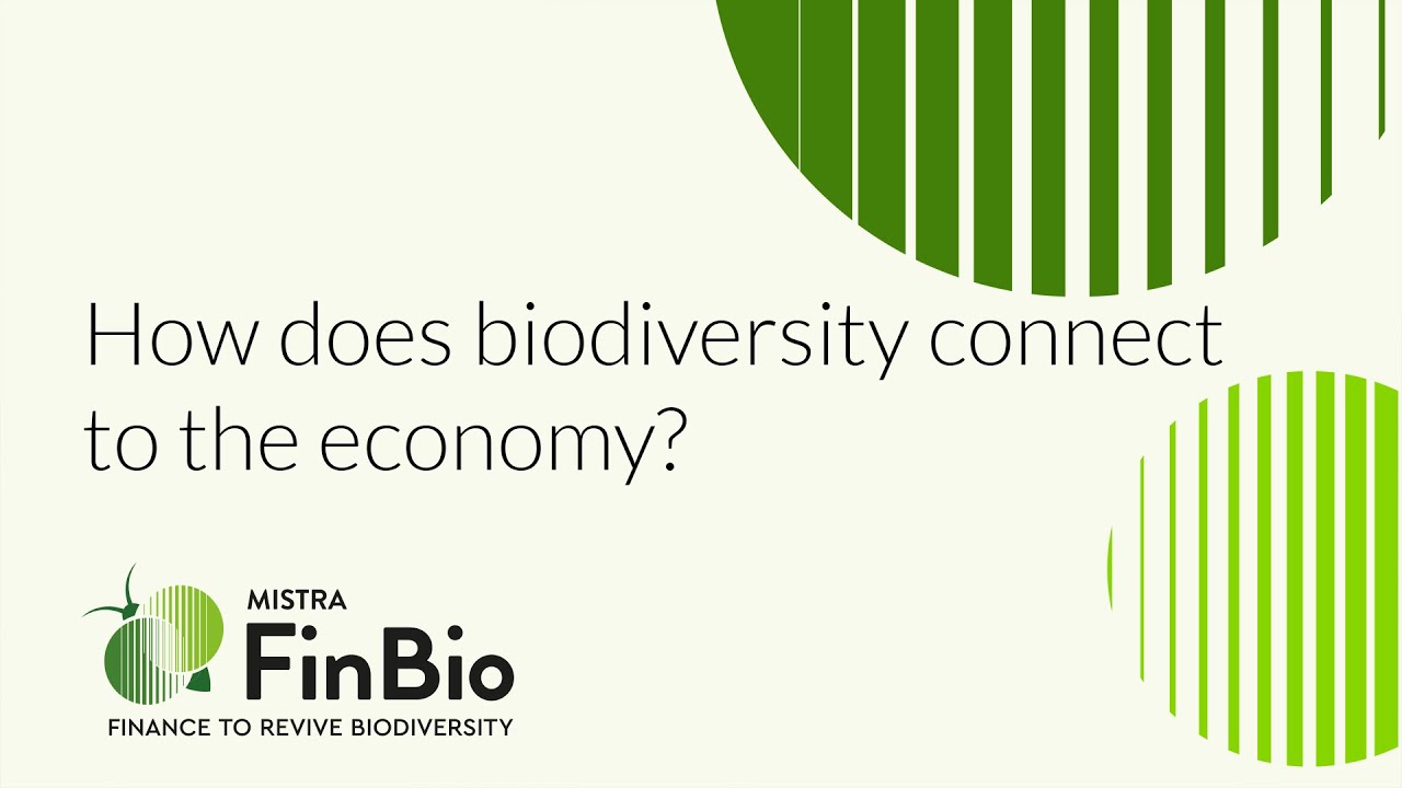 How does biodiversity connect to the economy?