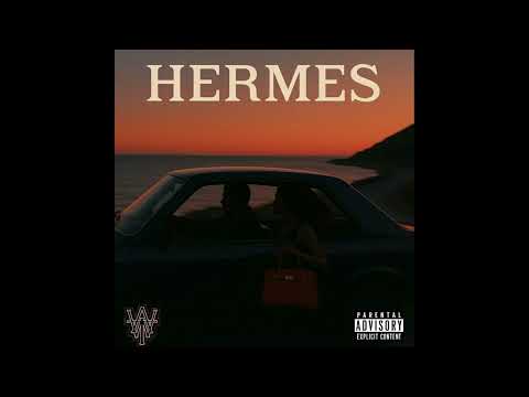 AlphaPi - HERMES