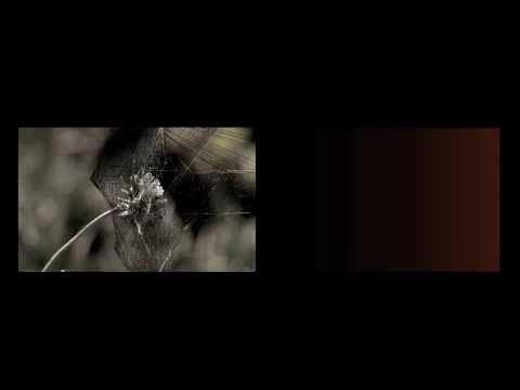 Hekate presents Broken Windscreen 11th October- Teaser