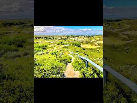 CGK Katwijk aan Zee - Psalm 38 vers 3 en 22 (t.t.v. coronacrisis)