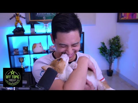 The Age of Gabu - Off Topic - #272