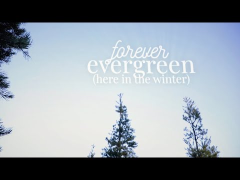 Forever Evergreen