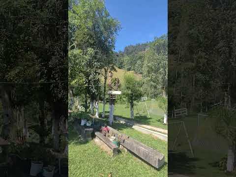 Chegando novidades Chácara em Campina Grande do Sul,20.000m² R$580 mil