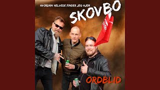 Skovbo Music Video