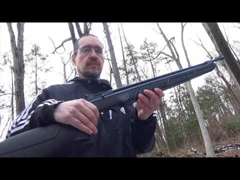 Crosman C362 Review 875 FPS Multi Pump Pellet Rifle ($100)
