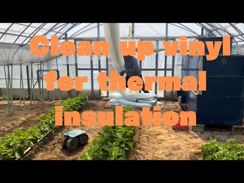 冬に向けて温室を準備することは、自尊心のあるすべての庭師の優先事項です。どのような活動を始めるべきですか?  庭園