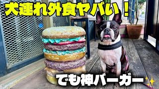  【衝撃】犬連れ外食は大変…でもこのラムバーガーは絶対食べてほしい！