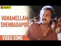 Vanamellam Shenbagapoo Solo Video Song Nadodi Pattukkaran Karthik Ilaiyaraaja S Janaki