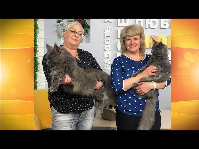 Живая среда