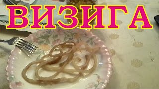 Как правильно удалить визигу у стерляди