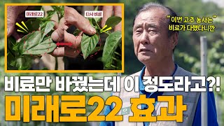 비료만 바꿨을 뿐인데 이 정도라고?! 미래로22가 미래다