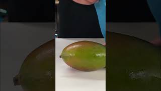 Download lagu Protect your melon 🍉 mp3 Download lagu Protect your melon 🍉 mp3