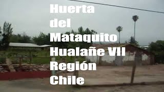 preview picture of video 'Entre la Huerta de Mataquito y Licanten Septima Region de Chile  primera parte'