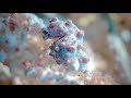 Bali 2018 Diving Teaser 4K