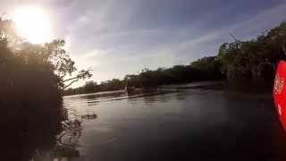 Something That You Might Like - Music by Puggy