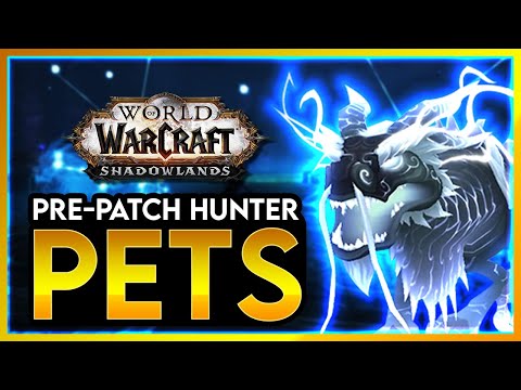 SHADOWLANDS 9.0 HUNTER PETS // New AWESOME PETS you can TAME in the 9.0 PRE PATCH for SHADOWLANDS