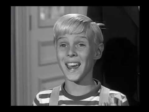 Dennis The Menace - S03E13 - Dennis' Bank Account