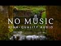 10 Hours Layered Water Sounds NO MUSIC Pure Nature ASMR
