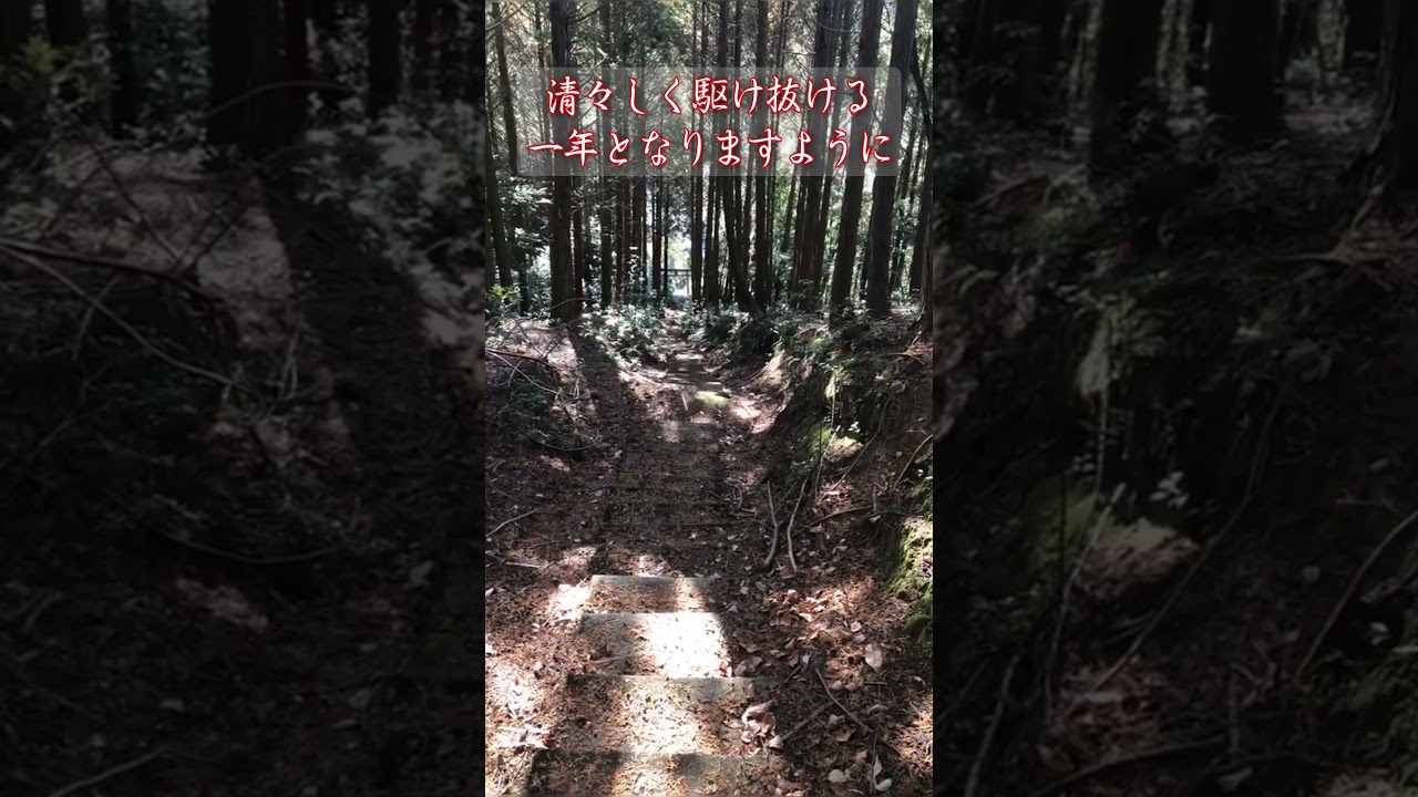 【遠隔参拝】あけましておめでとうございます　#丙午年 #元旦