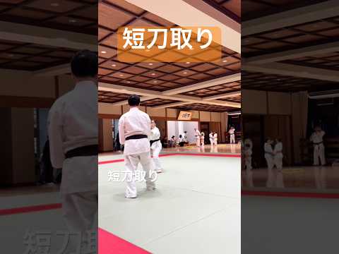 合気道・自由技の稽古風景。その日の課題と技の確認［合気道練精会］