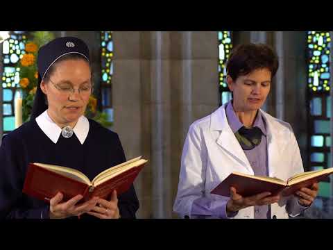 Die Antwortpsalmen – 31. Sonntag im Jahreskreis Lesejahr A