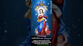Feast of Assumption of our Lady whatsapp status video malayalam l August 15 whatsapp status l marian