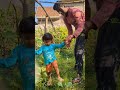 Bavamardalu Cucumber Cutebaby Farming Timepassvlog
