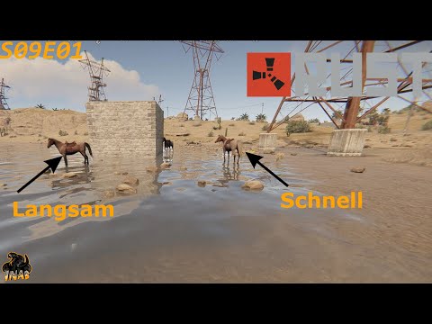 Pferde Rass|smus Rust Deutsch S09E01