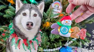 Surprising My Dogs With a Christmas Tree 🎄 In 2024!