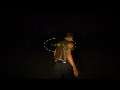 Gabriel Jacoby - Reptile (Official Video)